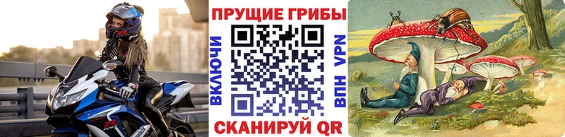 Псилоцибиновые грибы Psilocybine cubensis  Ряжск 